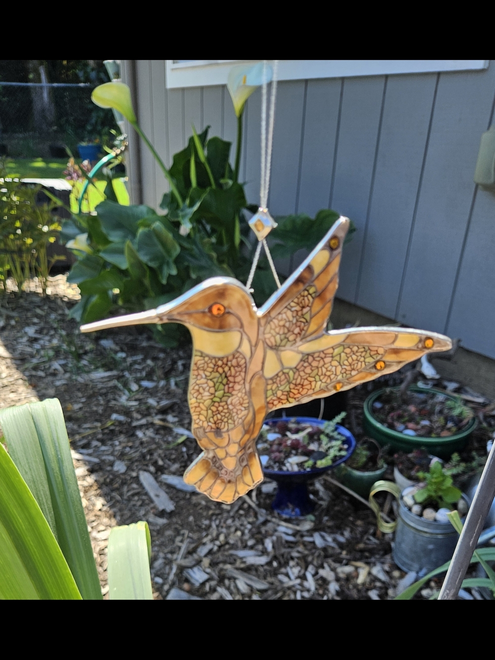 Bradford Editio VTG Sunny Marigold Hummingbird